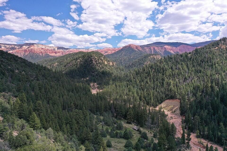 1st image of Cedar Mountain Ashdown Gorge