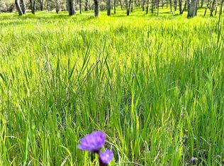 18461 Old Wards Ferry Rd Lot 2, Sonora, CA 95370