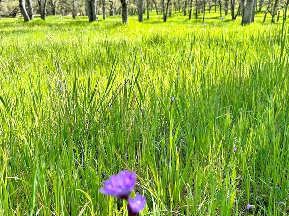 18461 Old Wards Ferry Rd Lot 2, Sonora, CA 95370