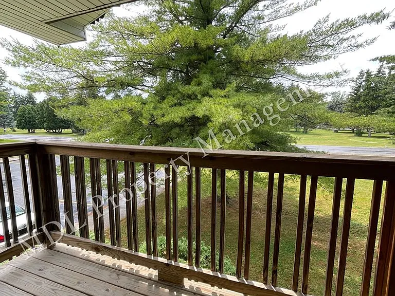 Country Squire * — Photo 9