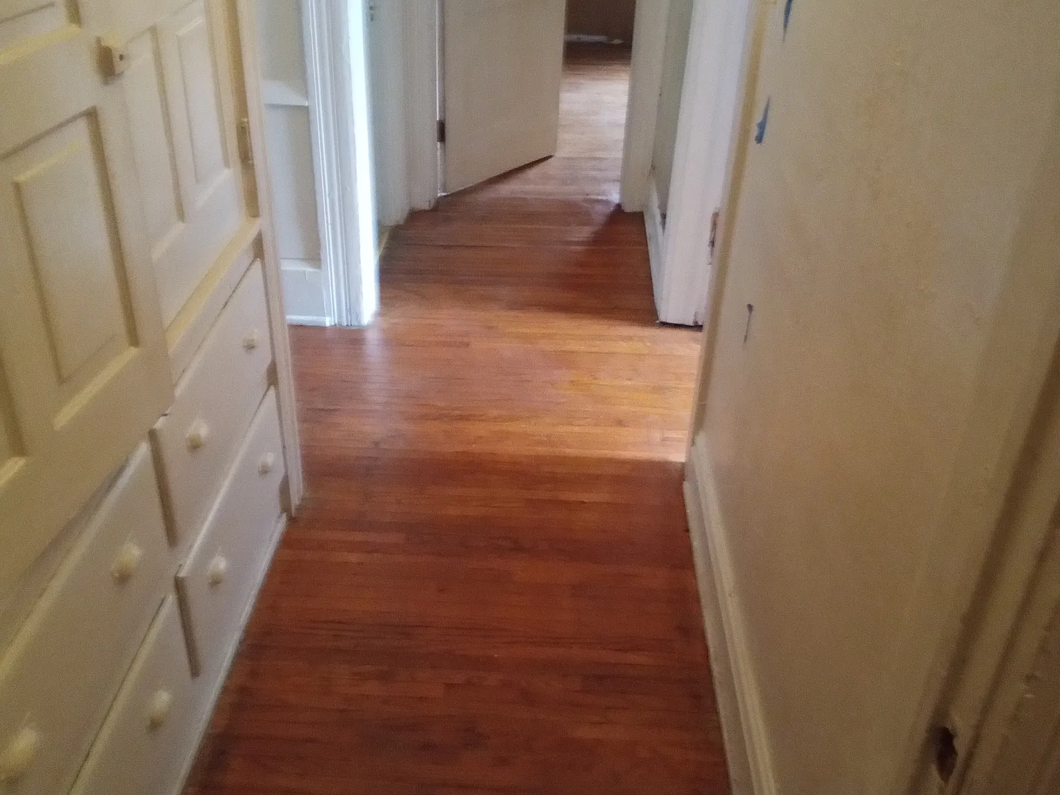 442 Arcadia Ave — Photo 4