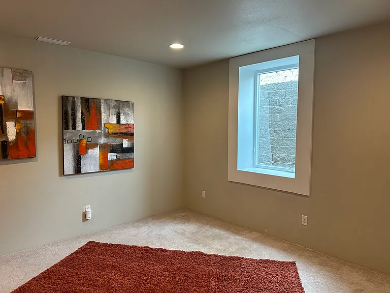 217 San Remo Ln #BASEMENT — Photo 11