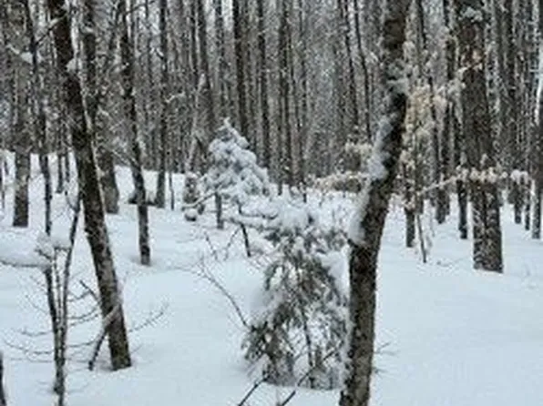 0 Providence Dr, Algonquin Highlands, ON K0M 1J1