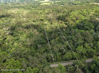 6202 Neff Lake Rd, Brooksville, FL 34601