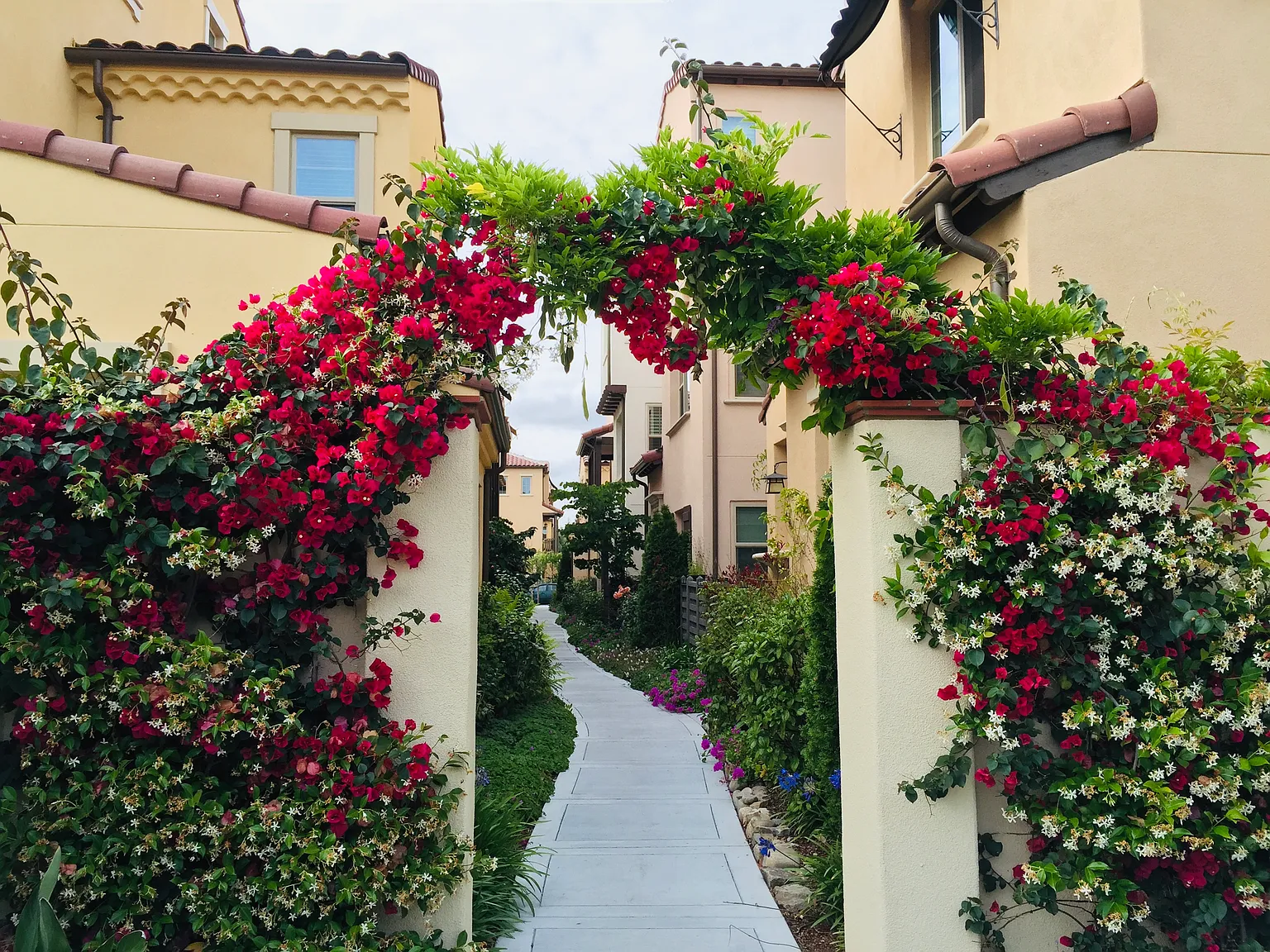 907 Smith Ln — Photo 4