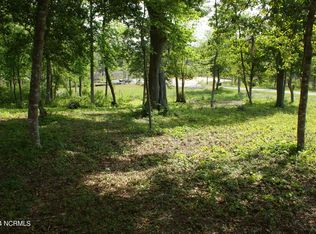 466 Vfw Rd, Cedar Pt, NC 28584