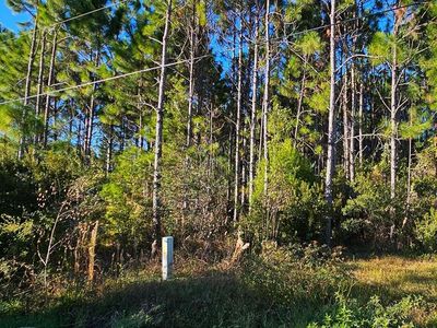 901 NE 6th St, Carrabelle, FL, 32322