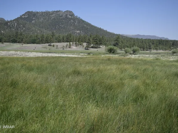 County Road 2269, Eagar, AZ 85925