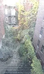 Rented by Bank Neary