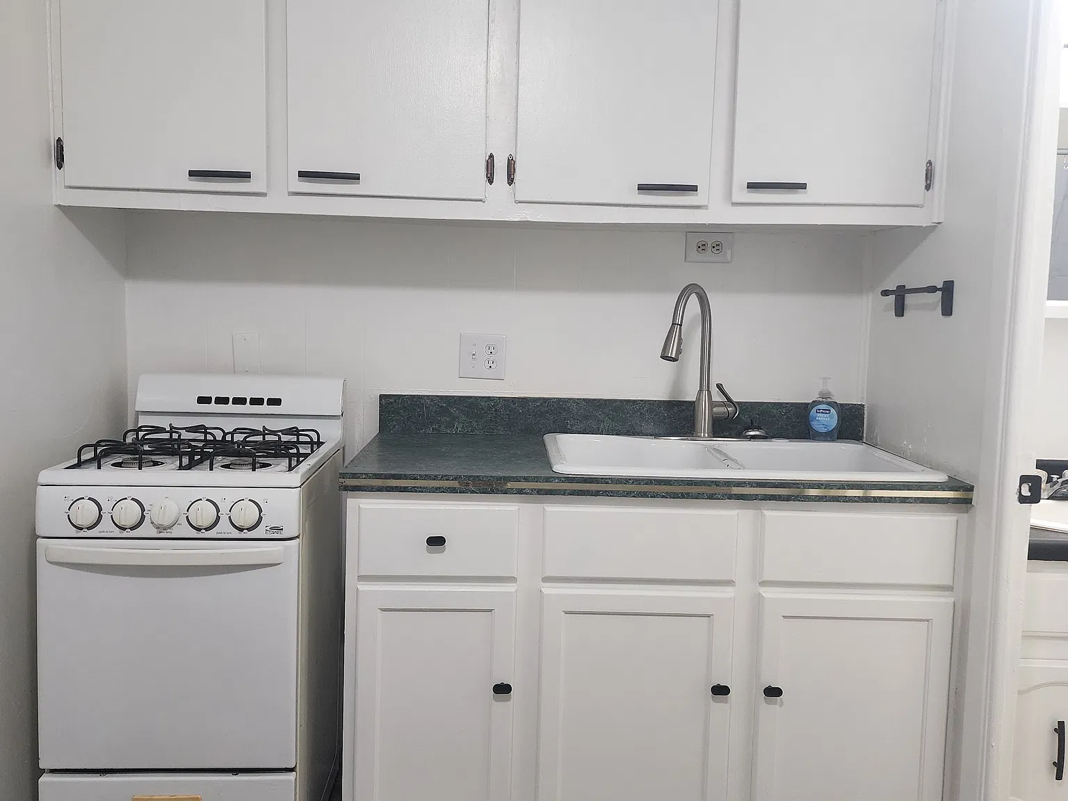 1 bed, 265 sqft, $600 — Photo 3