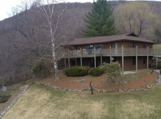 197 Floyd Hodges Rd, Roan Mountain, TN 37687