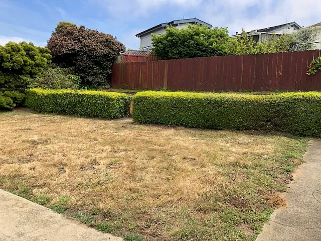 3 bed, 1170 sqft, $4,495 — Photo 3