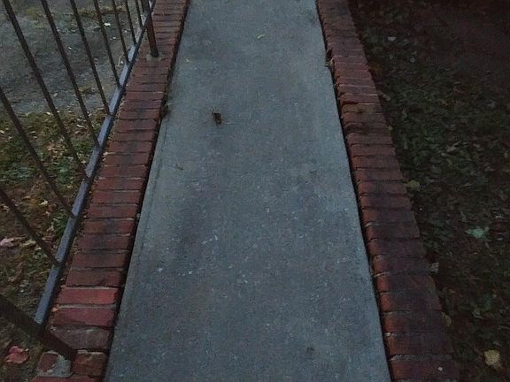 Wheelchair ramp