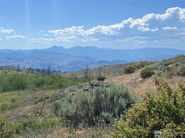 0 Lot 12 Lone Spur Road, Oroville, WA 98844