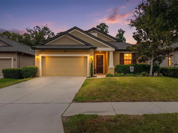 107 Elina Sky Dr, Seffner, FL 33584