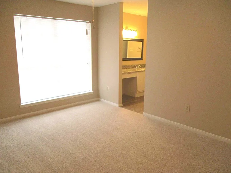 5506 Deep Forest Dr — Photo 14