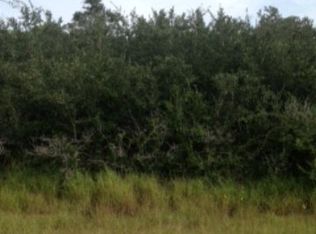 1239 N Fm 2980, Yorktown, TX 78164