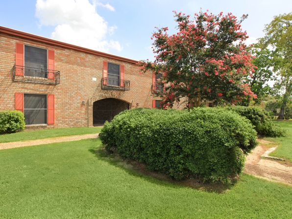 313 Sunnyside St #746