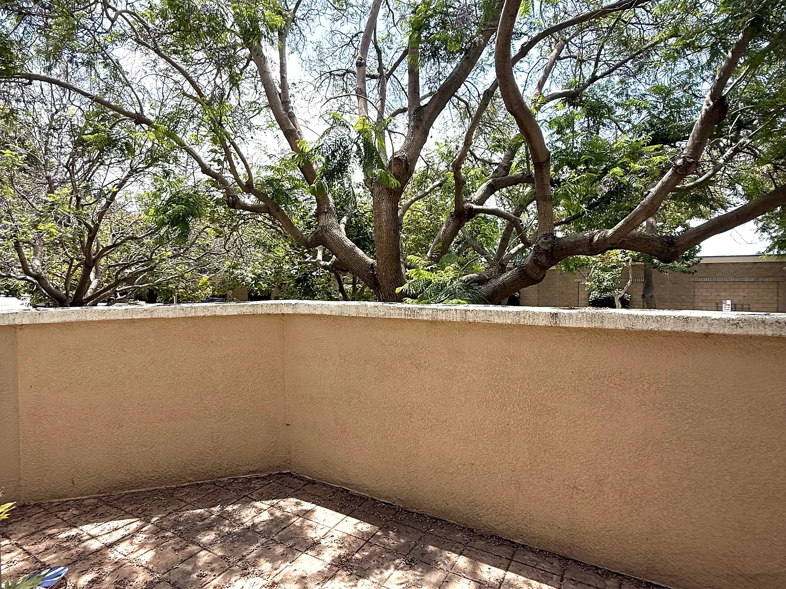 87 W Shoshone St — Photo 3