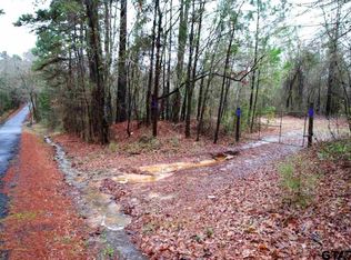 1 County Road 4420, Winnsboro, TX 75494