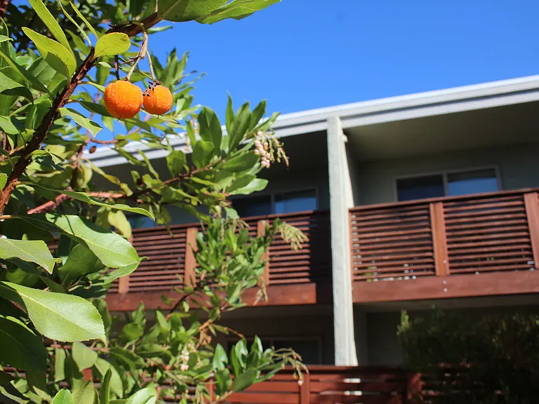 Manzanita Apartments — Photo 10