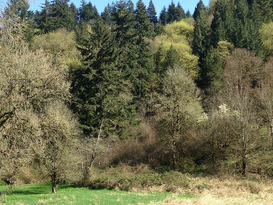 1st image of Xxx Grimm Road