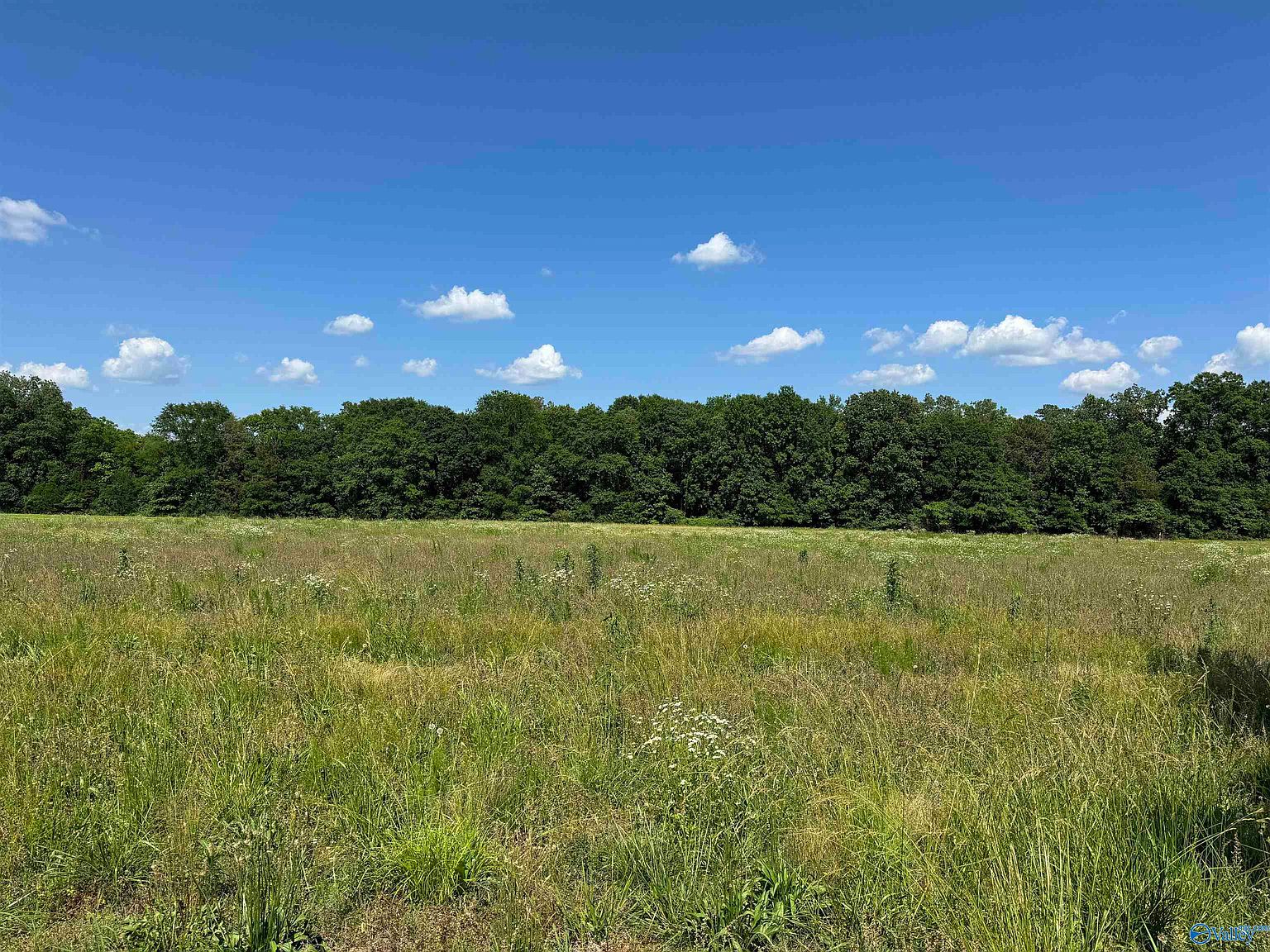 195 Paint Rock Rd, New Hope, AL 35760 Zillow