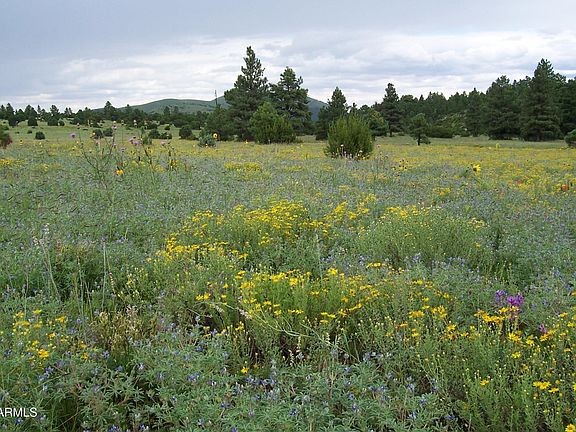 2nd image of Lot 5 Red Cabin Ranch Unit II -- #5