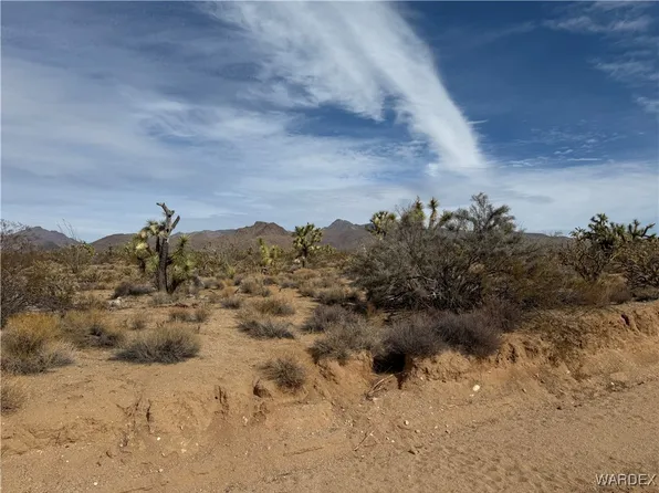 PARCEL 2559 S Diamondback Rd, Yucca, AZ 86438