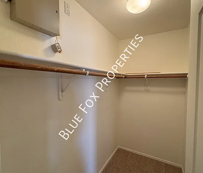 10163 E Falcon Point Dr — Photo 14