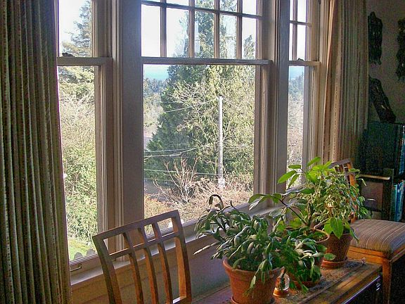 Dining Room Windows