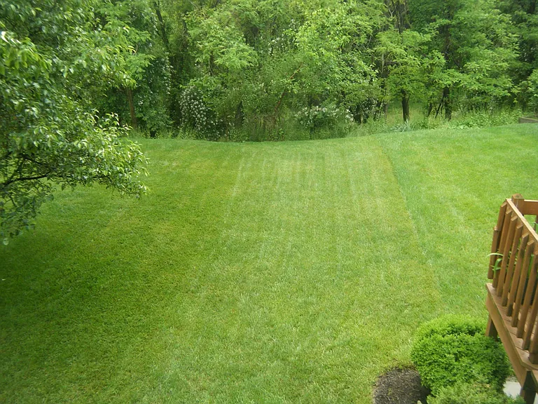 23 Rhodes Pl — Photo 21