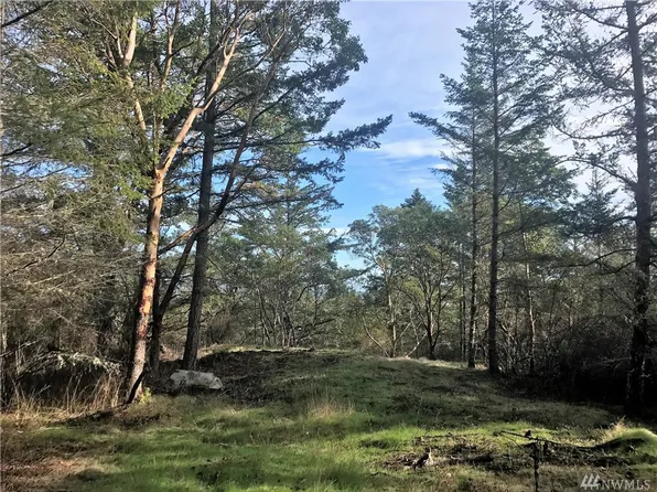 6 Prospect Rd, Friday Harbor, WA 98250