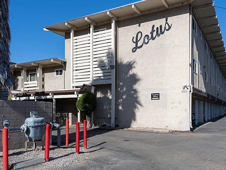 LOTUS APARTMENTS — Photo 7