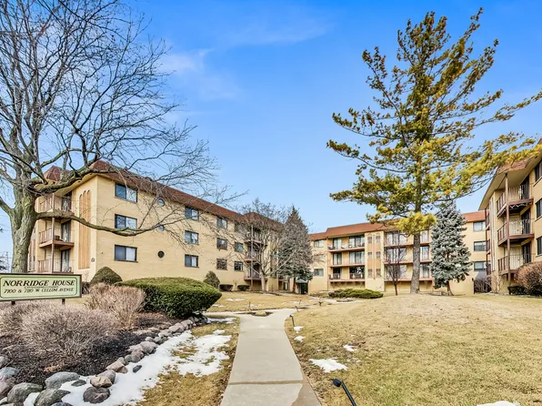 7110 W Cullom Ave Unit 103, Norridge, IL 60706