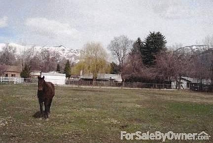 looking toward home from pasture