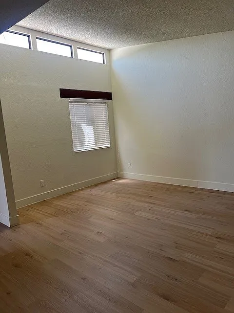 2 bed, 1000 sqft, $1,855 — Photo 3