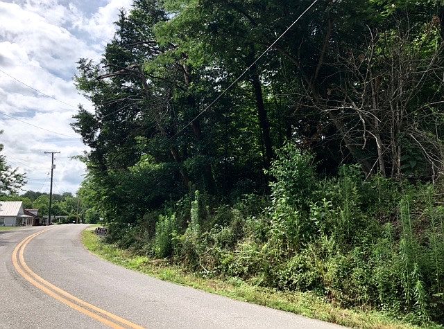 Left side of road - 2 lots