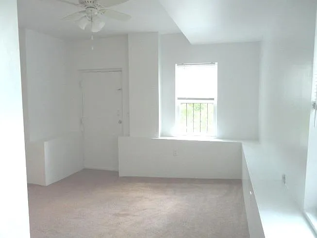 1719 Buena Vista St #1 — Photo 12
