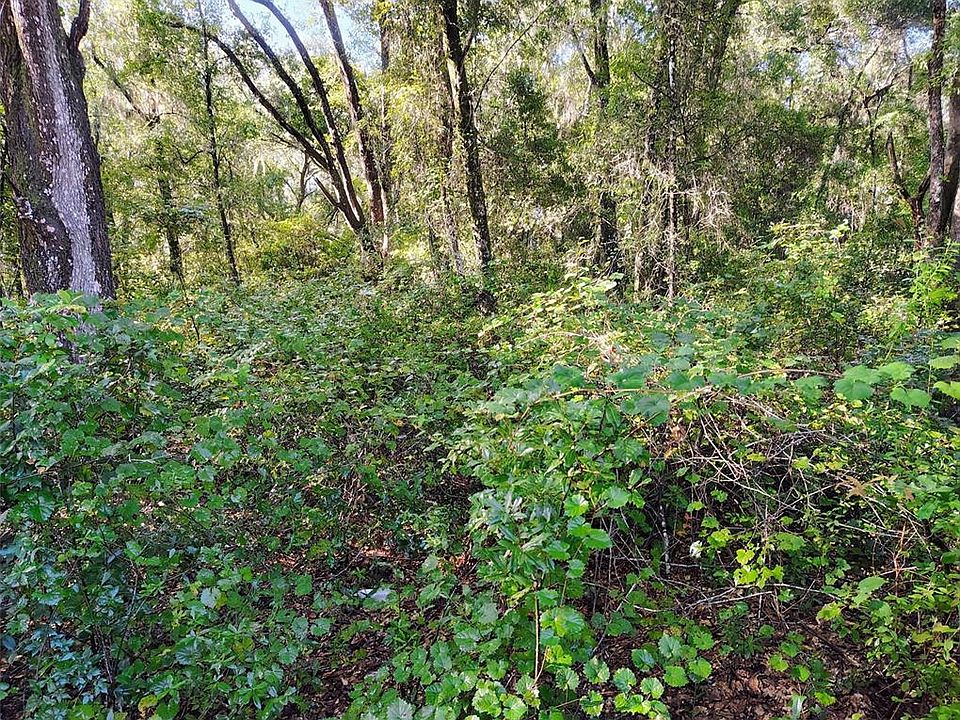 2nd image of SW 158TH LANE LOT 454
