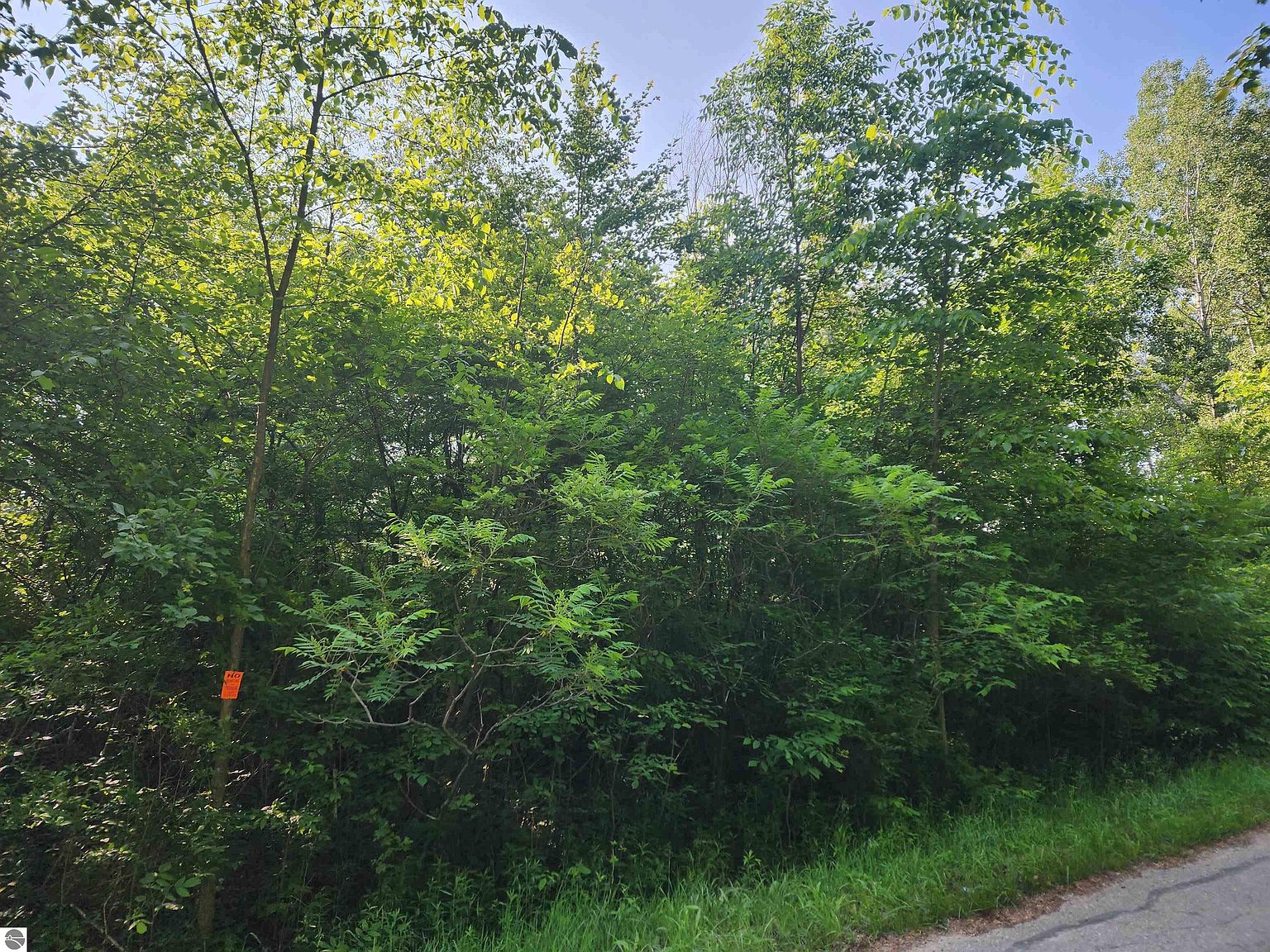 0 S Michigan Ave, Omer, MI 48749 Zillow