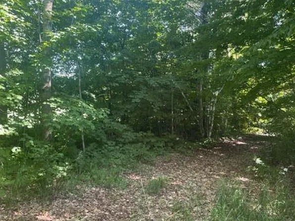 9322 Glenn Rd, Grayling, MI 49738