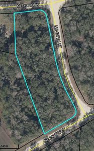 3 acres NE 290th Ave, Old Town, FL, 32680