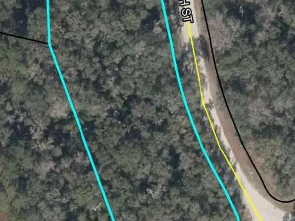 3 acres NE 290th Ave, Old Town, FL 32680