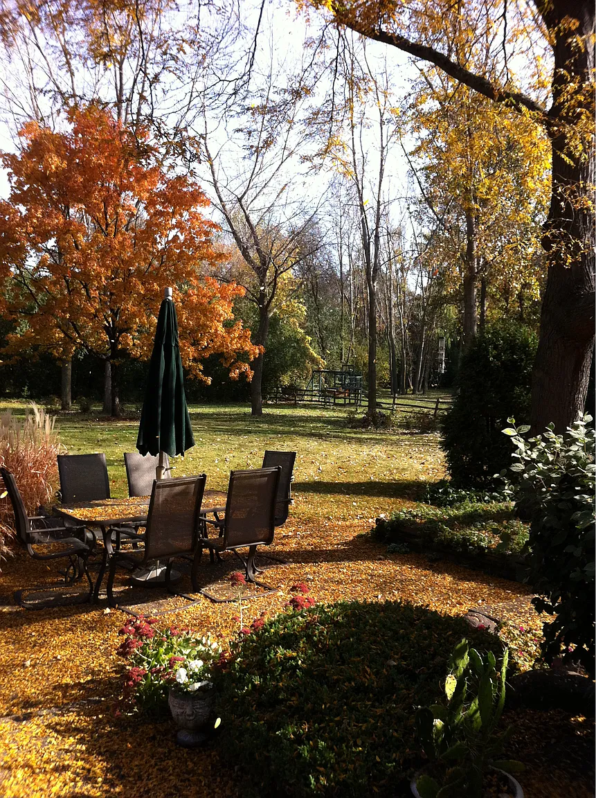 1530 Steeplechase Ct photo 1