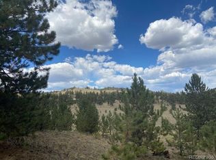 317 Jefferson Rd, Hartsel, CO 80449