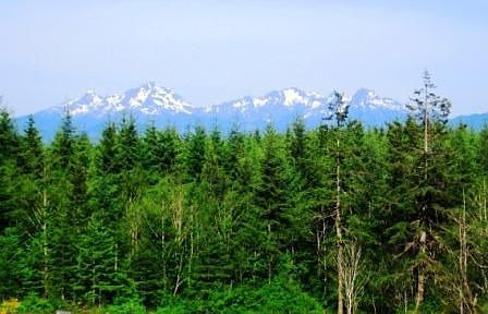 Panoramic Olympic Mountain view from the building site