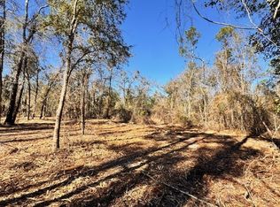 0 NE Chervil Dr LOT 26, Lee, FL 32059