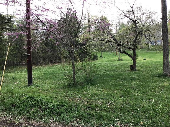 5th image of Deer Trail Cir