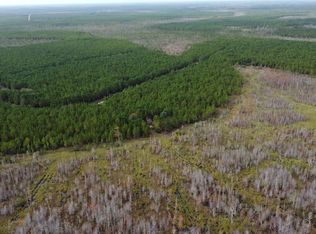 0 Odum Rd, Millwood, GA 31552